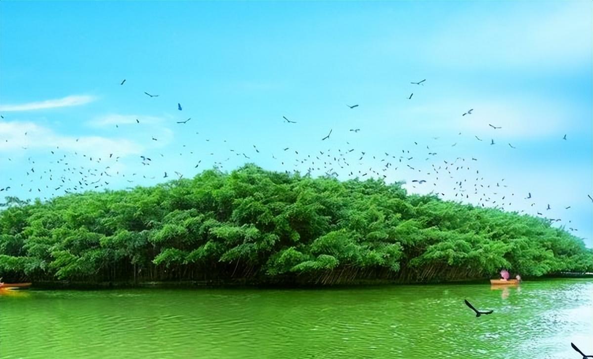 娱乐圈中最具专一的明星,有你吗?