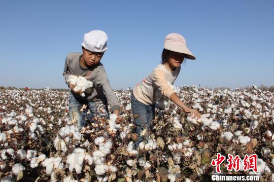 新疆阿克苏天气_阿克苏_赶集网新疆阿克苏