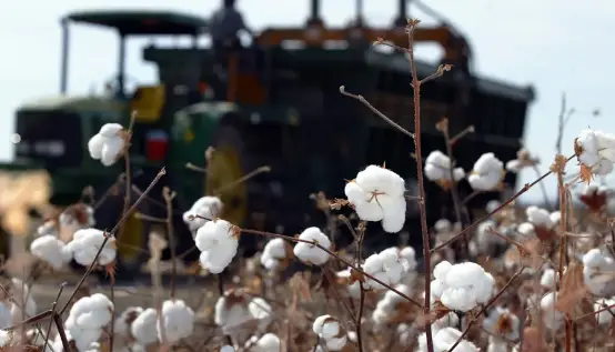 阿克苏_新疆阿克苏天气_赶集网新疆阿克苏