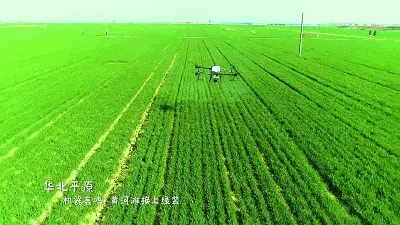 阿克苏市柳源镇祥和村农民驾驶一体式精量播种机播种棉花