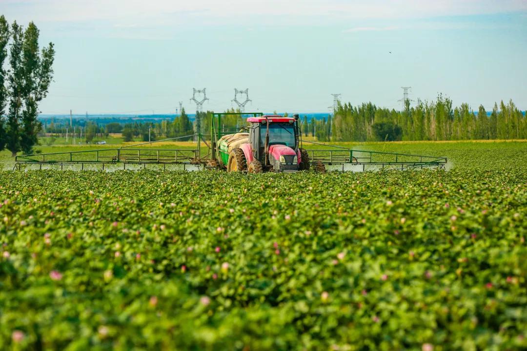 阿克苏二中_阿克苏_阿克苏医院