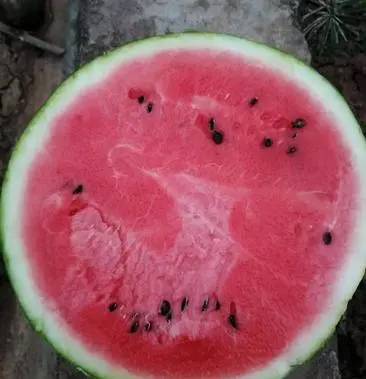 西州蜜25号大棚瓜的纹路是怎么形成的