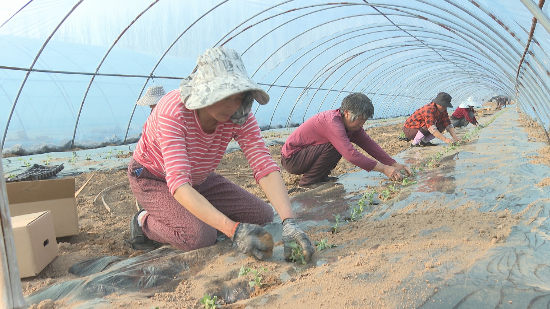 哈密招聘_哈密市_哈密