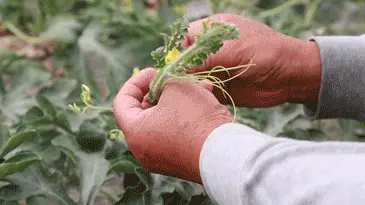 哈密市_哈密招聘_哈密