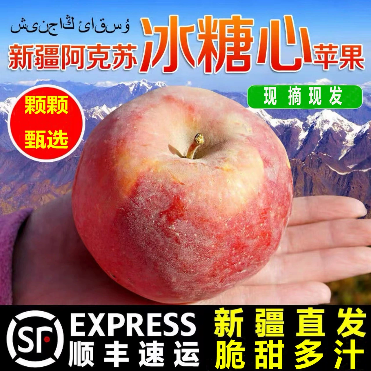 阿克苏_阿克苏二中_新疆阿克苏教育网