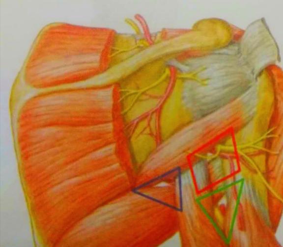 器械护士的职责_器械分类_器械：