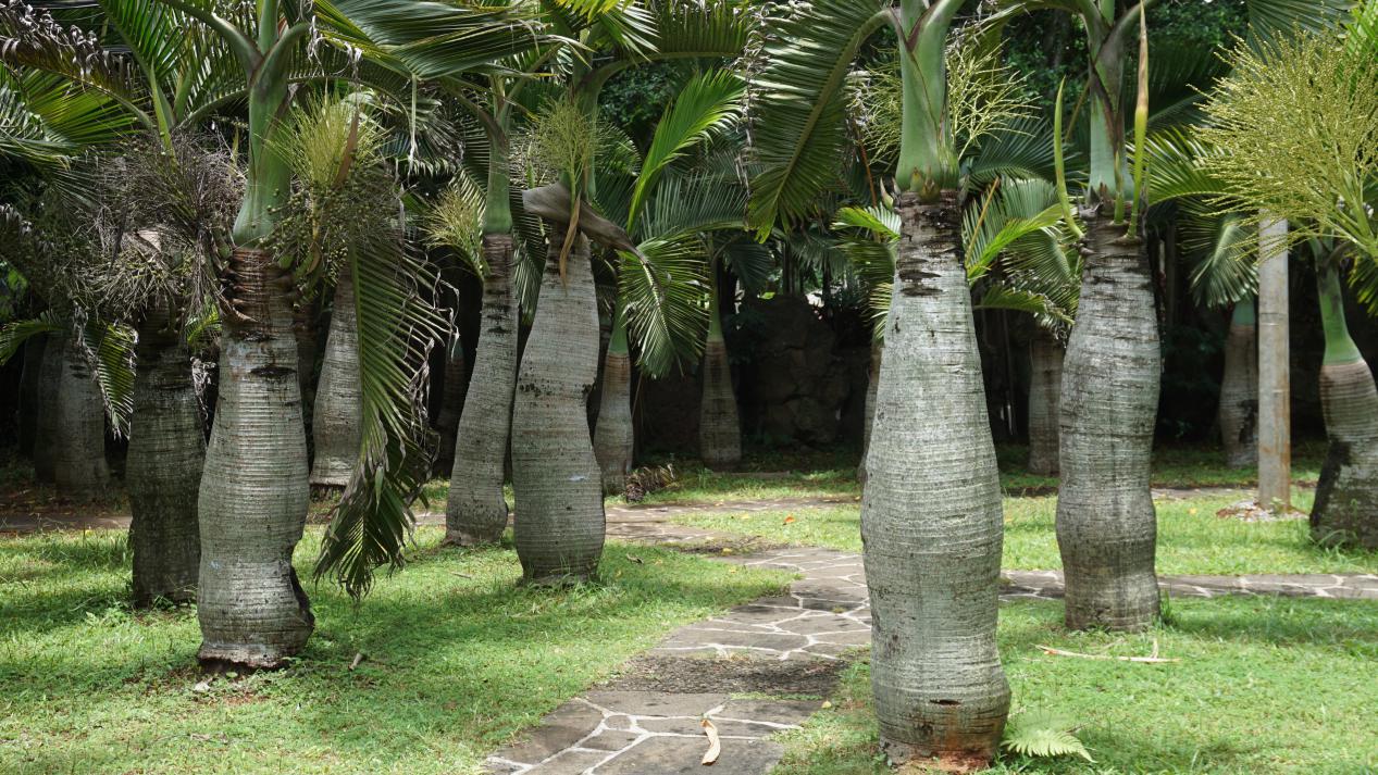 写于文前的一点感受：与海为伴的城市里读研