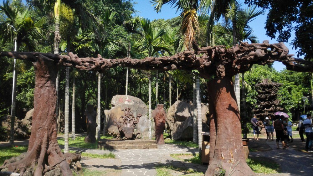 海口天气_海口_海口