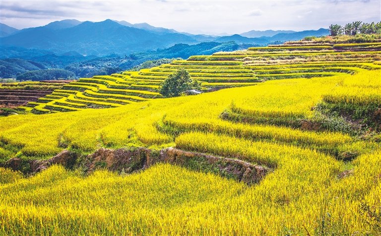 五指山必去的三个景点_五指山_五指山风景区