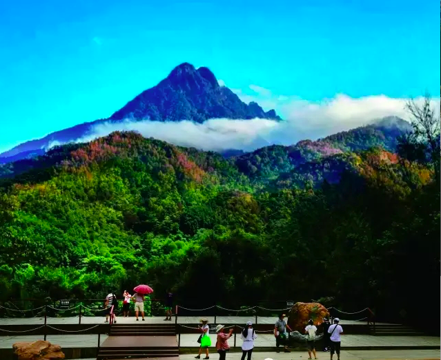 我爱五指山，我爱万泉河，红军曾在树下点篝火