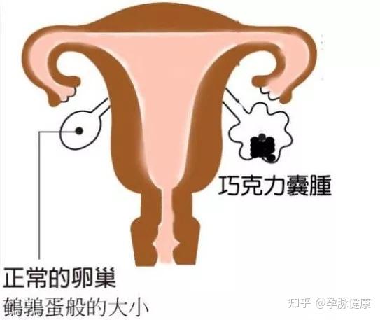 天伦不孕不孕医院_不孕不育_育不孕医院哪家好