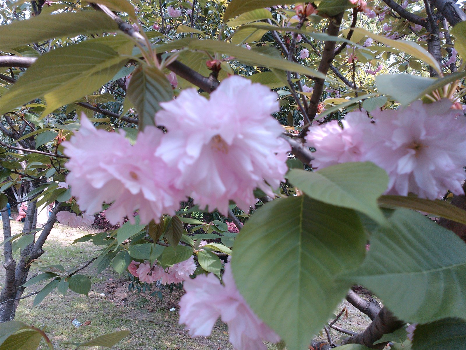 近现代建筑维修保护_建筑维修_建筑维修公司起名