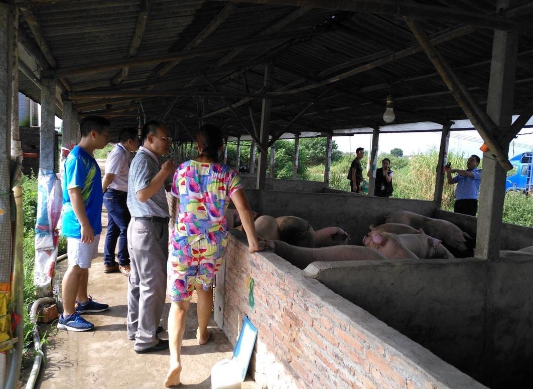 畜禽养殖_养殖畜禽种类填什么_养殖畜禽注意卫生