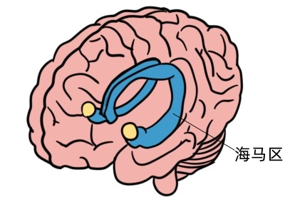研究发现英语_研究发现：_研究发现：