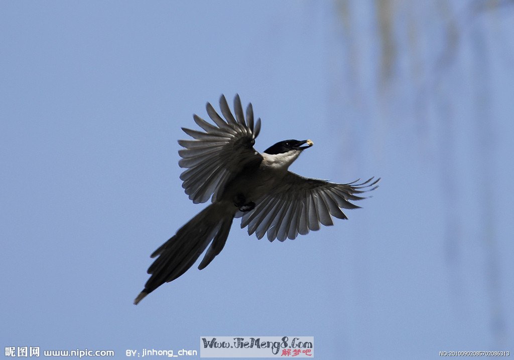 周公解梦：_解梦周公解梦大全查询_解梦周公解梦大全七星彩