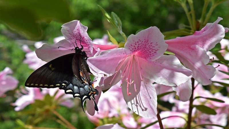 解梦周公解梦大全七星彩_周公解梦：_解梦周公免费
