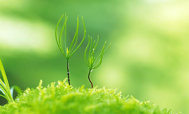 风水堂：梦见水的可能原因分析