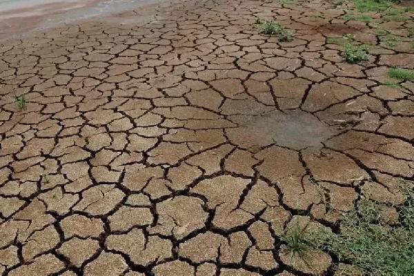 环保部印发《畜禽养殖禁养区划定技术指南》