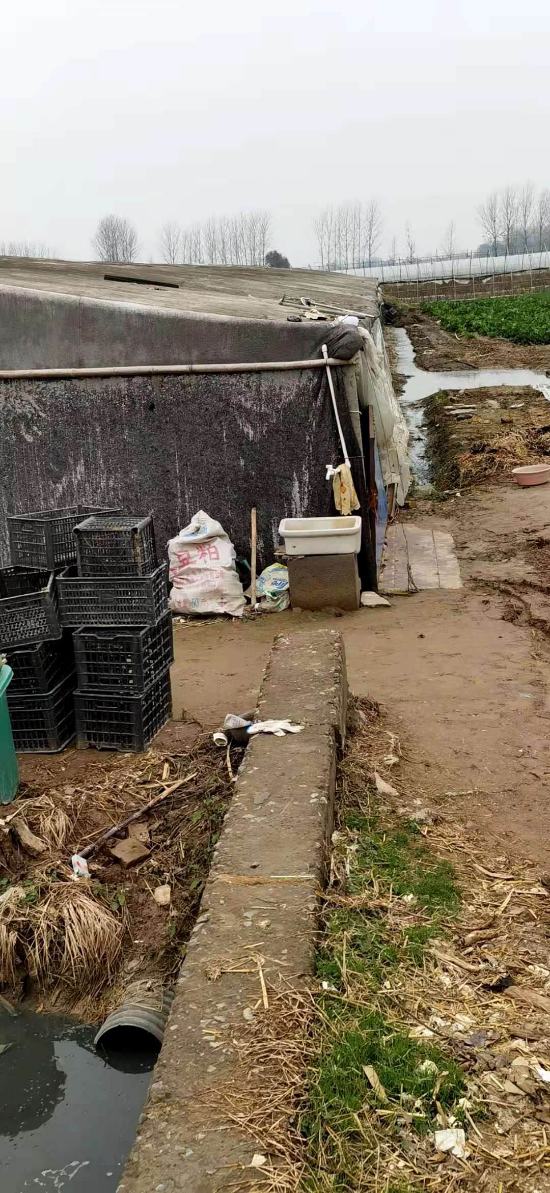 养殖畜禽注意卫生_畜禽养殖_养殖畜禽的注意事项