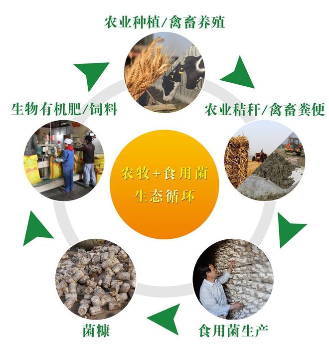 养殖畜禽注意卫生_畜禽养殖_养殖畜禽扰民谁来管理