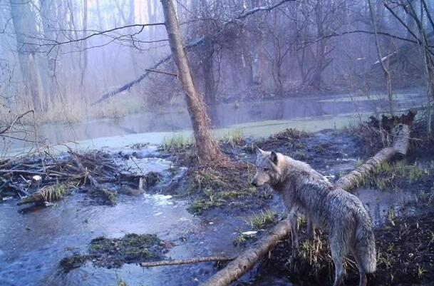 核能便会肆虐摧毁它所带来的一切——兵事网(图2) 惨烈车祸现场照片_惨烈_登巴巴断腿场面惨烈