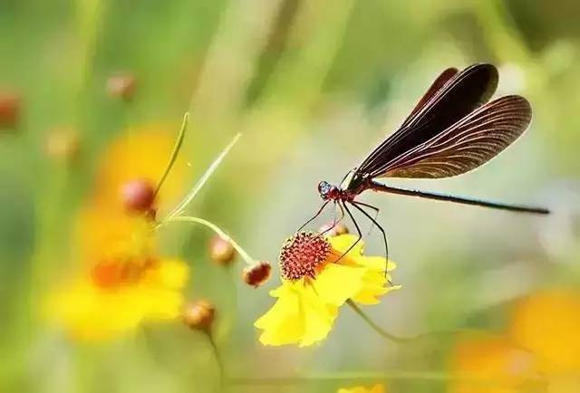 垂直照相机的正确持机方法，你知道吗？