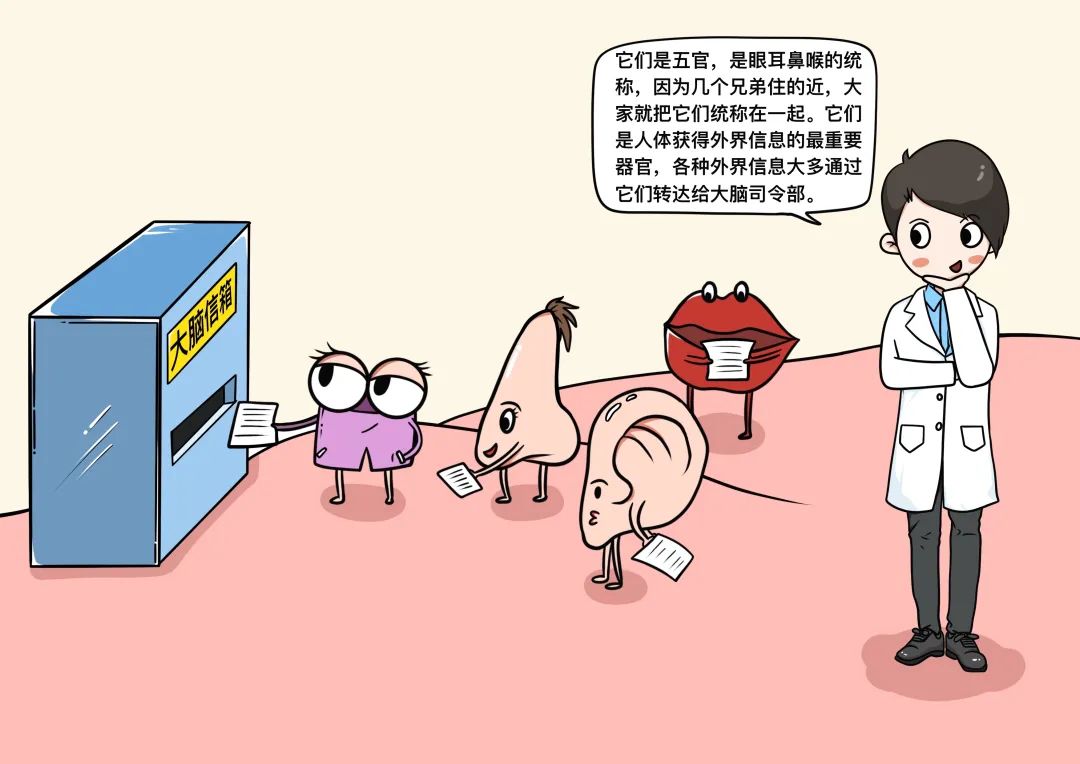 虚拟医疗服务：“先病后治”或将变革，“灵活就医”渐入人心