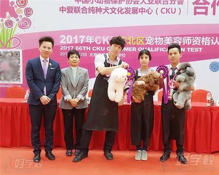 如何选择专业的宠物美容培训学校呢?