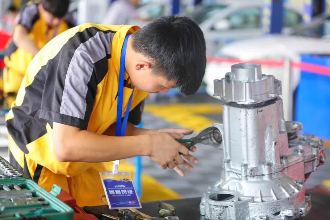 2017年国家公务员考试公共基础知识每日一练