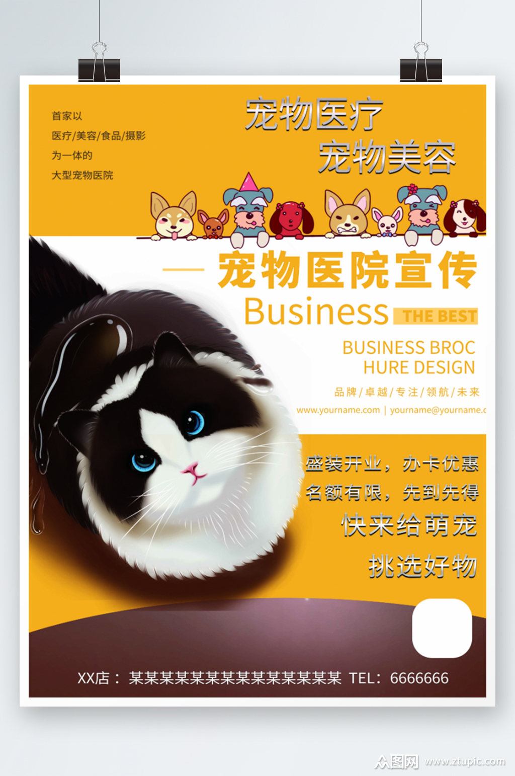 宠物医院_宠物医院投资大概多少_宠物医院加盟大概要多少钱