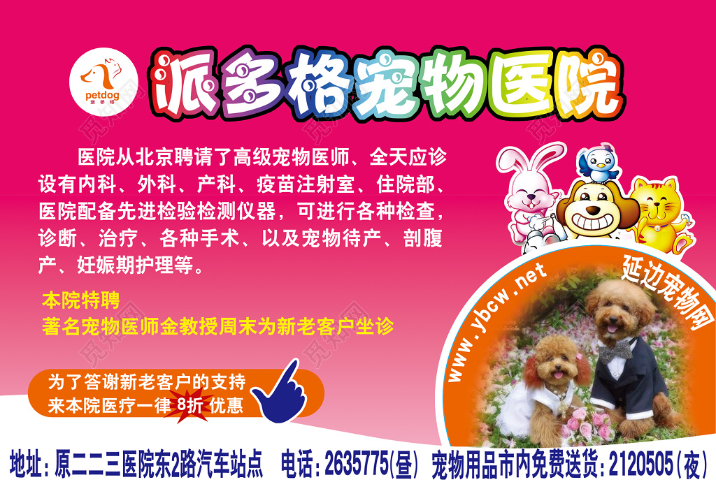 宠物医院_宠物医院附近_宠物医院需要什么资质