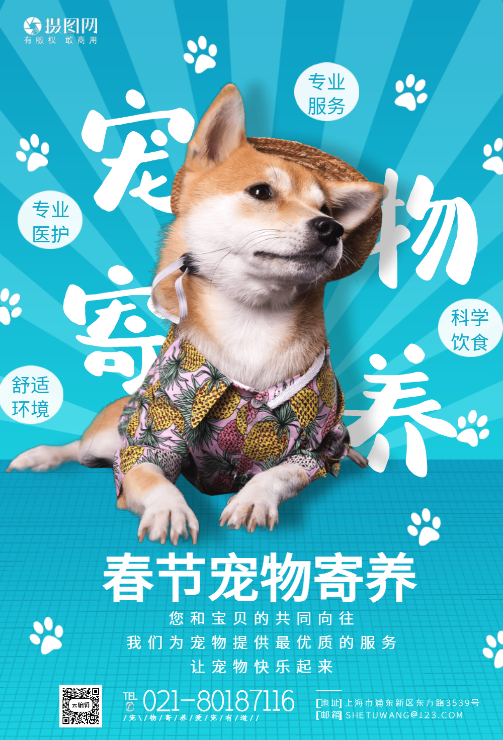 宠物寄养_宠物寄养一般怎么收费_宠物寄养店怎么开