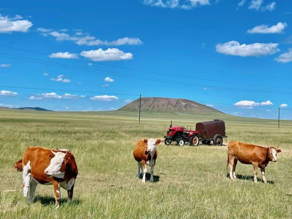 在世上/你要看看太阳/要和心爱的人/驰骋