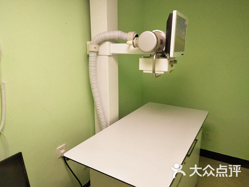 宠物医院_宠物医院附近_宠物医院在线问诊