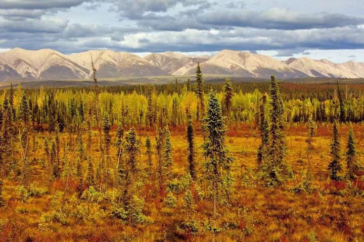 “全球生态环境遥感监测年度报告”（全文+）