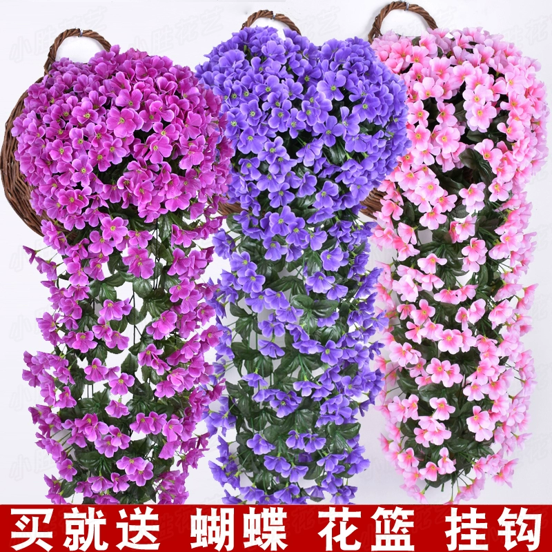 风水植物最好养哪几种_植物风水_适合放在办公室的风水植物