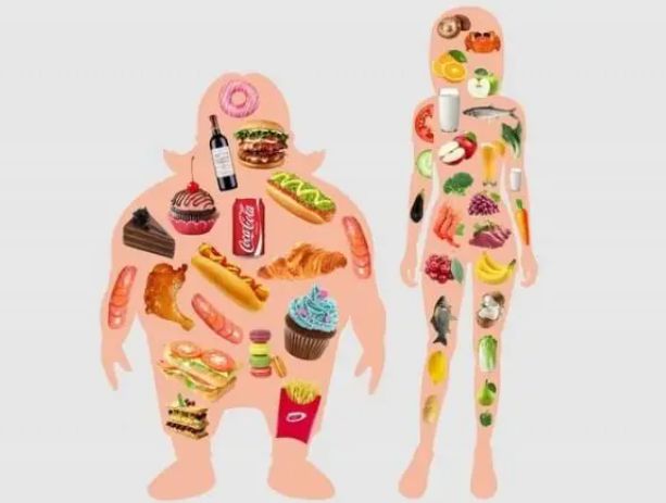 餐厨_厨餐比_厨餐一体很后悔