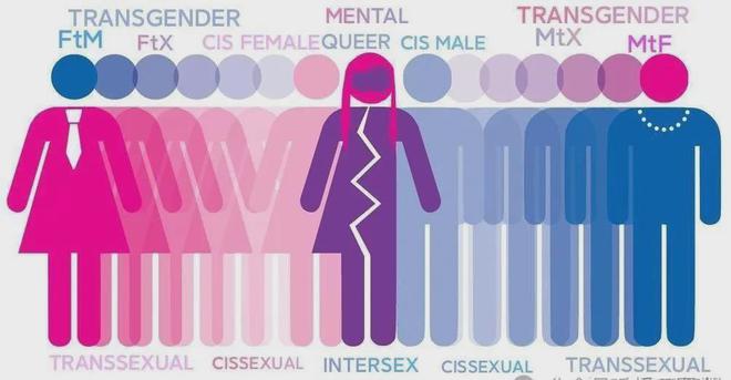 餐厨_厨餐比_厨餐一体很后悔