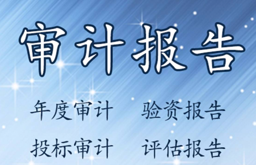 审计_审计师事务所_审计是干嘛的