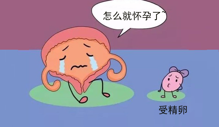 哪些因素会导致不孕或怀孕后流产呢？如何预防