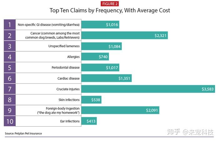 宠物医院_宠物医院在线问诊_宠物医院附近