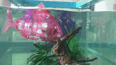 2017上海国际教育装备博览会开幕，一大波“黑科技”来袭！