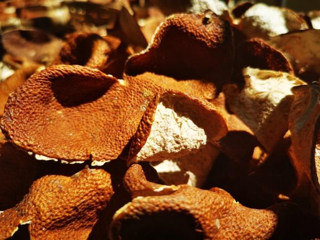 明星_明星大侦探_明星代言费