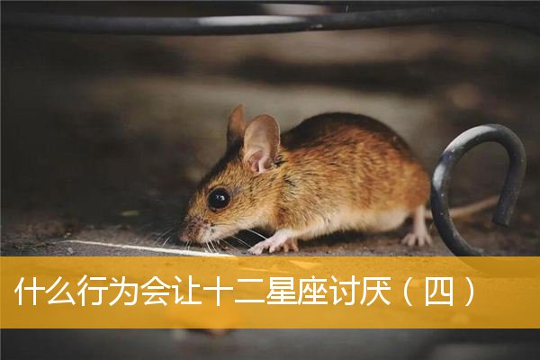 12星座的星座秘语_星座运势_星座：