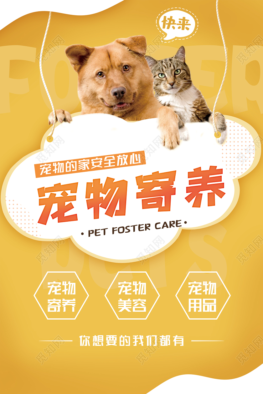 春节宠物寄养按天收费部分宠物店即将“满员”