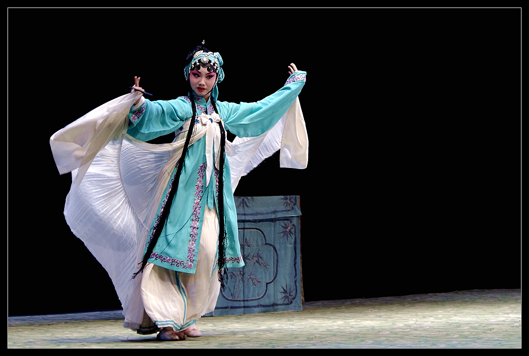 美容宠物游戏_宠物美容_美容宠物店