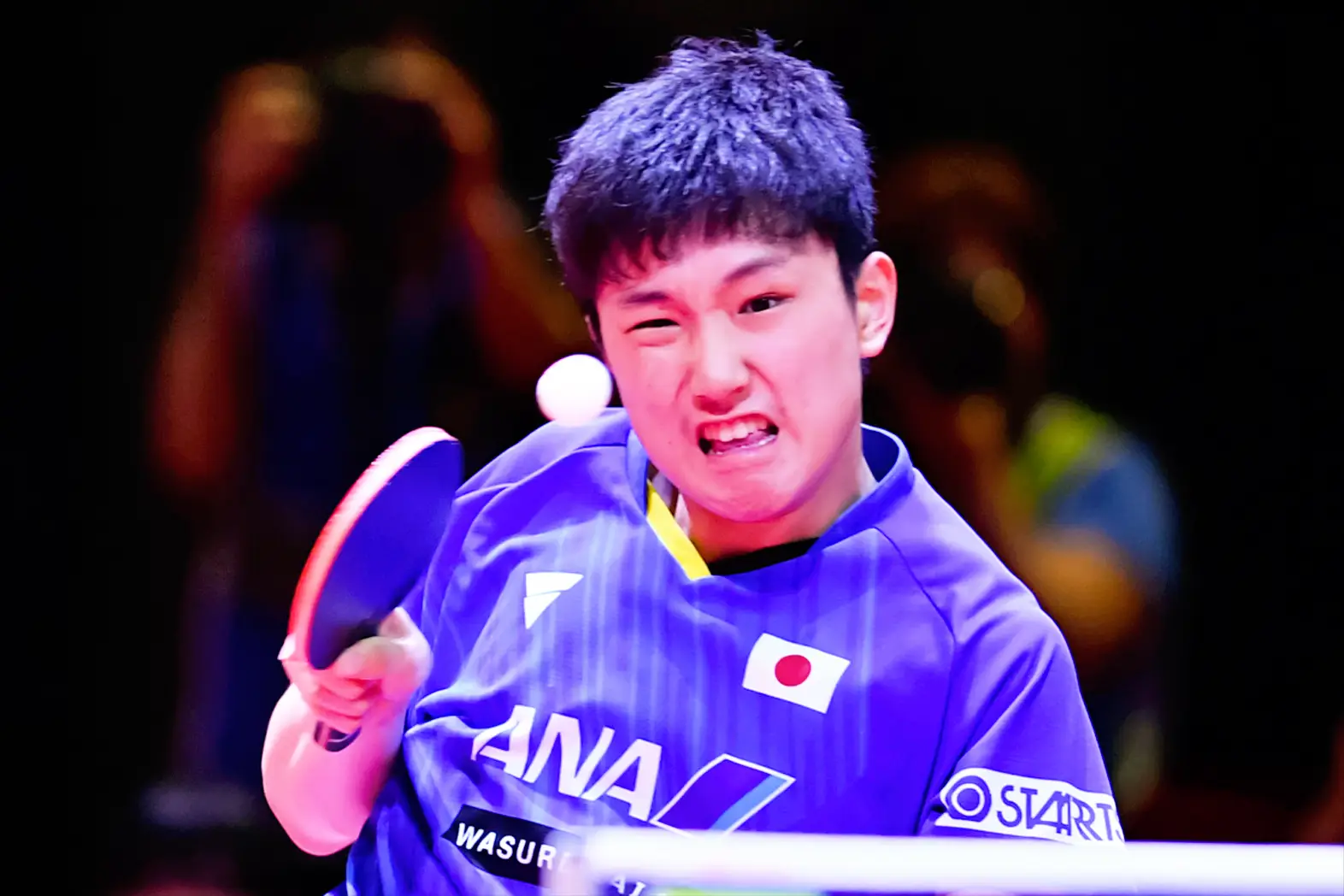 媒体KTV_媒体运营师_媒体：