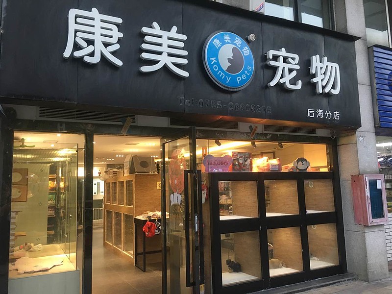 深圳宠物店招生简章-