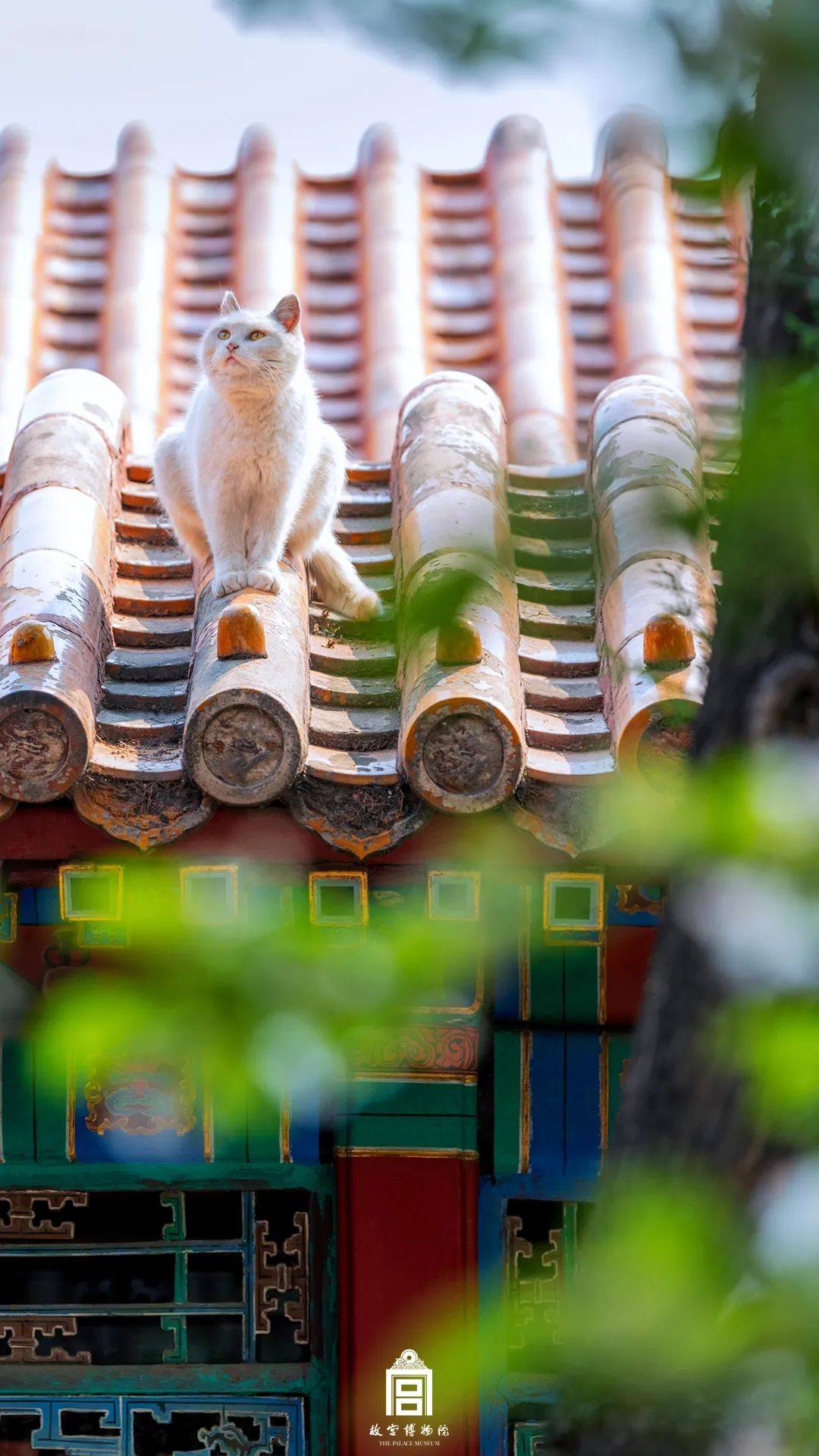 盘点2020年艺术场馆：紫禁城600年系列特展及活动