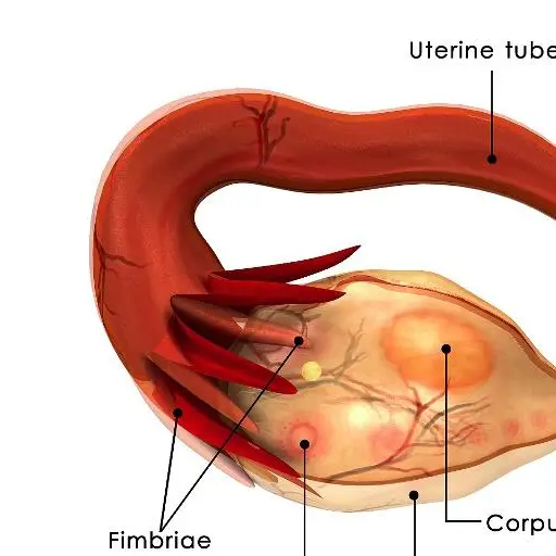 不孕不育_育不孕医院哪家好_郑州治不育不孕